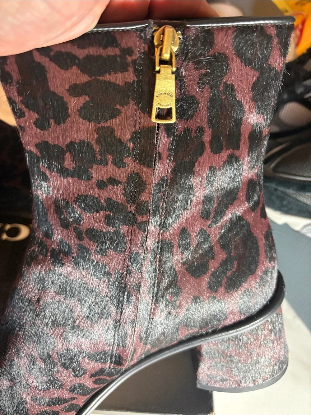 Coach ankle booties